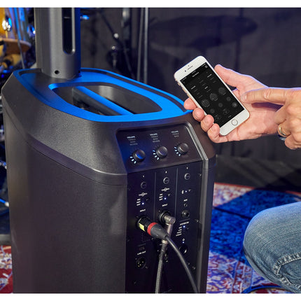 Enceinte sono BOSE L1 Pro8