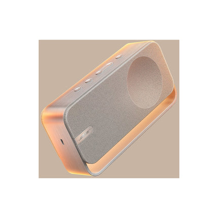 Enceinte portable BOSE SoundLink Home Argent