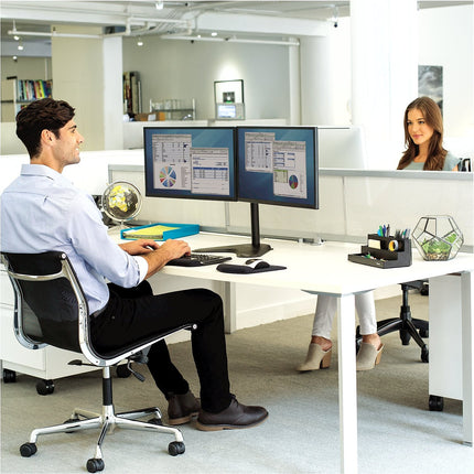 Support écran PC FELLOWES Support Double Horizontal sur pied
