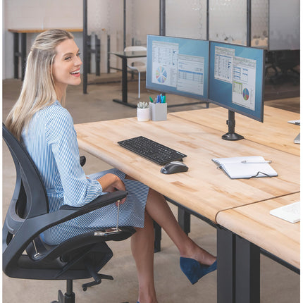 Support écran PC FELLOWES Support Reflex double