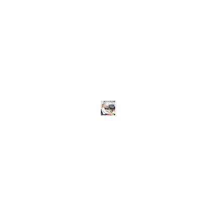 Support écran PC FELLOWES Support Simple sur pied