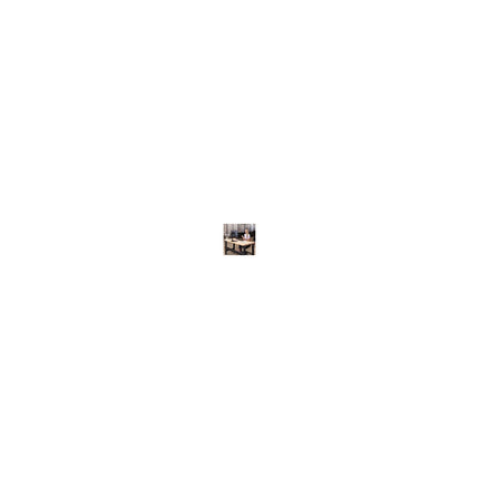 Support écran PC FELLOWES Support Simple sur pied