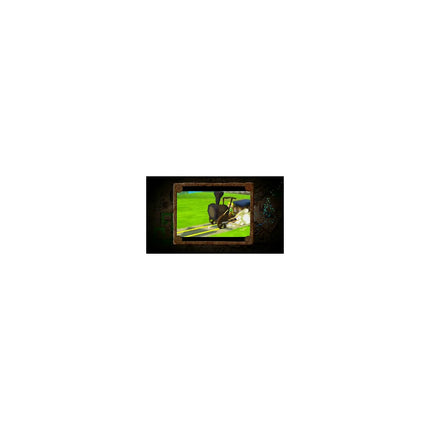 Jeu 3DS NINTENDO Legend of Zelda : Spirit Tracks Reconditionné