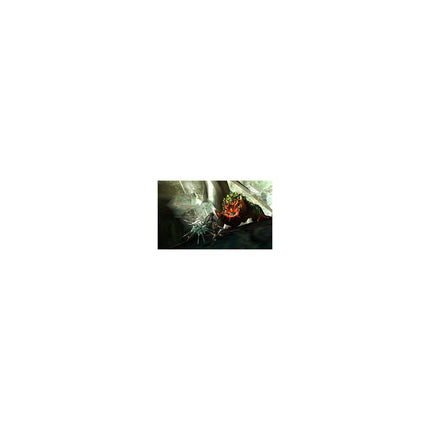 Jeu 3DS NINTENDO Monster Hunter 4 Ultimate