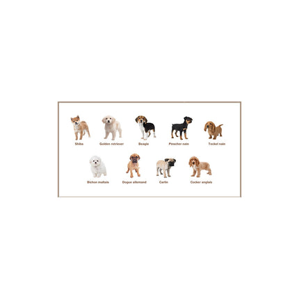 Jeu 3DS NINTENDO Nintendogs Golden Retriever Selects Reconditionné