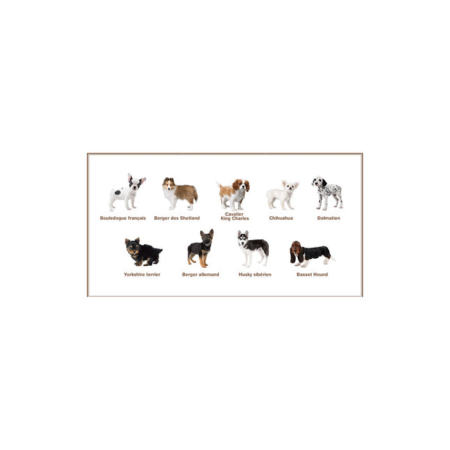 Jeu 3DS NINTENDO Nintendogs Bouledogue Selects