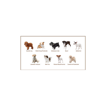 Jeu 3DS NINTENDO Nintendogs Caniche Selects