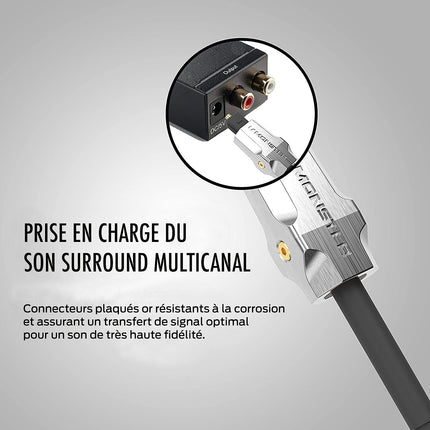 Câble fibre optique MONSTERCABLE 2.0/22.5 GBPS 1.5M M1000 UHD