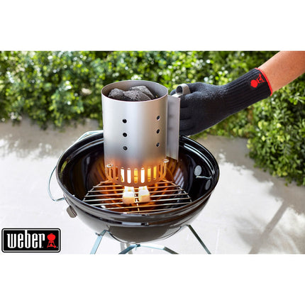 Cheminée barbecue WEBER petite cheminée d'allumage