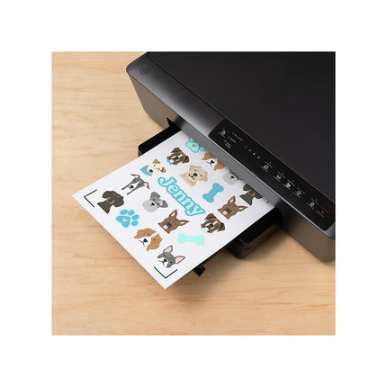 Accessoire CRICUT Set Waterproof A4 6 feuilles trans holo