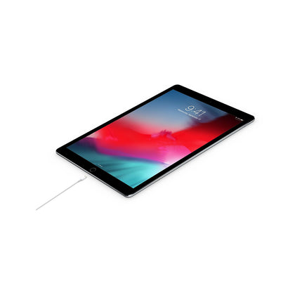 Câble Lightning APPLE vers USB-C 2m