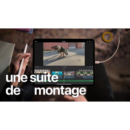 Tablette Apple IPAD Pro 11 Cell 256Go Gris sidéral Reconditionné