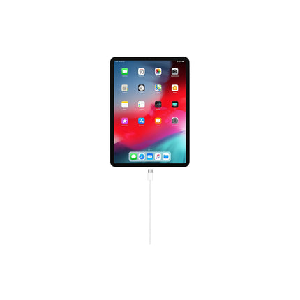 Câble alimentation APPLE charge USB-C 1m