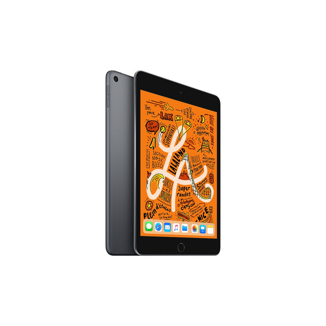 Tablette Apple IPAD Mini 7.9'' 64Go Gris Sidéral Reconditionné