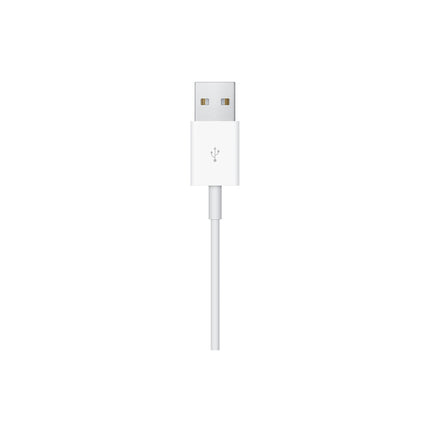 Chargeur induction APPLE magnétique Apple Watch 1m USB A