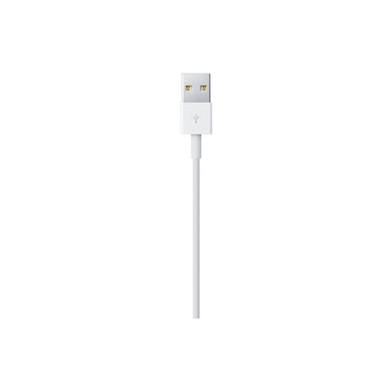 Câble Lightning APPLE vers USB 1m