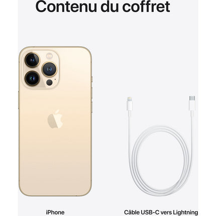 Smartphone APPLE iPhone 13 Pro Or 512Go 5G Reconditionné