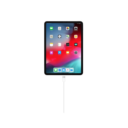 Câble alimentation APPLE USB C / USB C - 1M