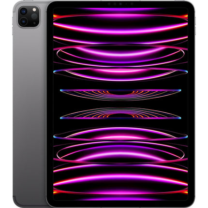 Tablette Apple IPAD Pro 11 M2 128Go Gris sidéral Cellular Reconditionné
