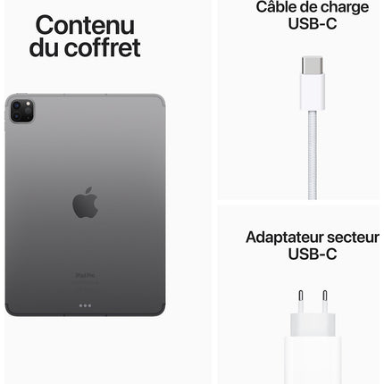 Tablette Apple IPAD Pro 11 M2 128Go Gris sidéral Cellular Reconditionné