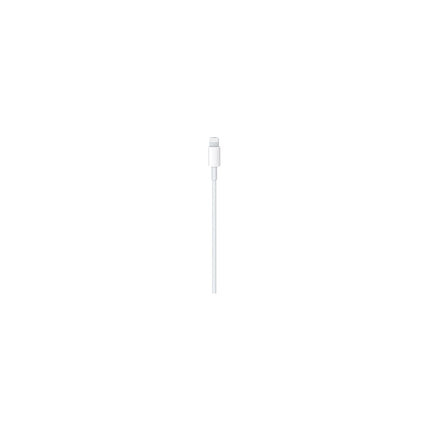 Câble Lightning APPLE USB-C vers lightning 1m