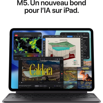 Tablette Apple IPAD Pro 11 M5 256Go Argent Reconditionné