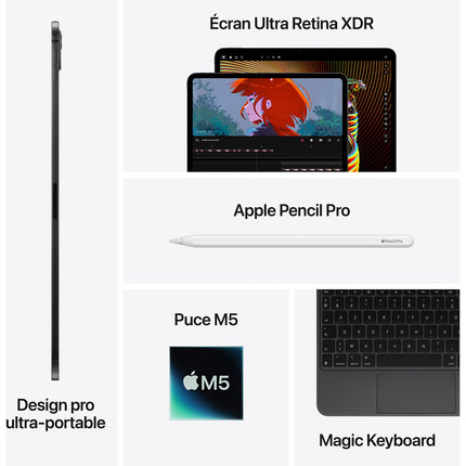 Tablette Apple IPAD Pro 13 M5 1To Argent Nano Cellular