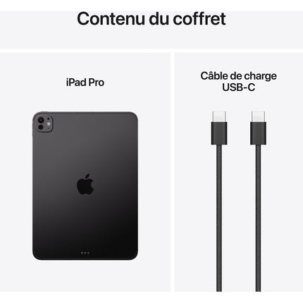 Tablette Apple IPAD Pro 13 M5 2To Noir Sidéral Standard Cell