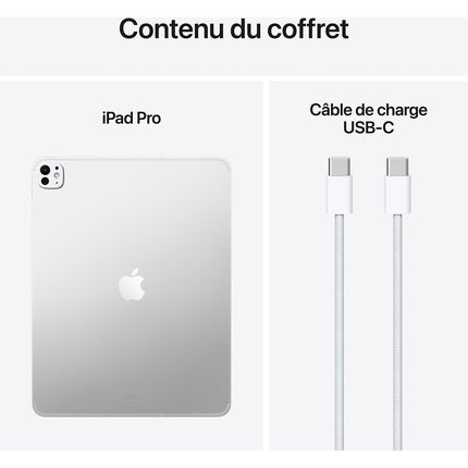 Tablette Apple IPAD Pro 13 M5 2To Argent Standard Cellular