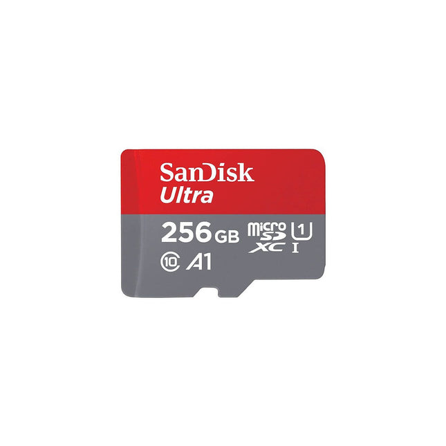 Carte Micro SD SANDISK