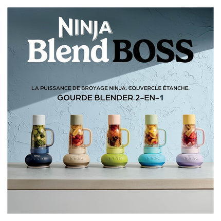 Blender NINJA BlendBoss