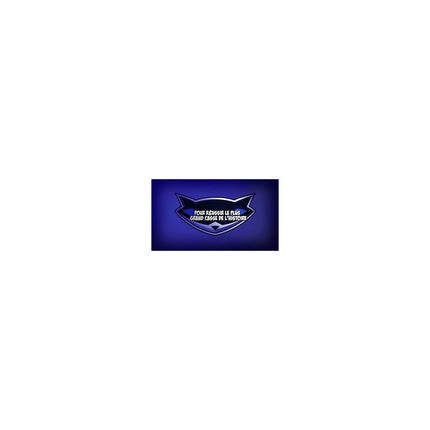 Jeu PS3 SONY Sly Cooper : Voleurs à travers le temps Reconditionné