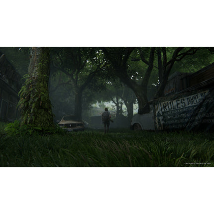 Jeu PS4 SONY The Last of Us 2