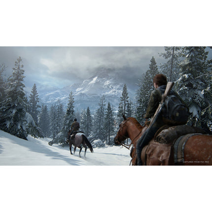 Jeu PS4 SONY The Last of Us 2