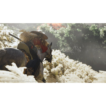 Jeu PS4 SONY Ghost of Tsushima