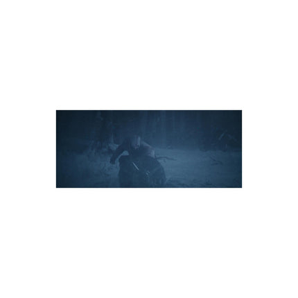 Jeu PS5 SONY God of War: Ragnarok