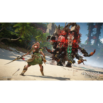 Jeu PS4 SONY Horizon Forbidden West PS4