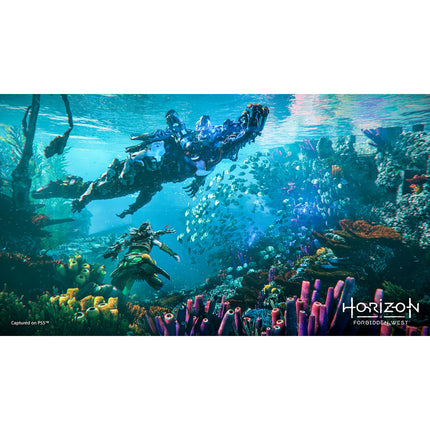 Jeu PS5 SONY Horizon Forbidden West PS5