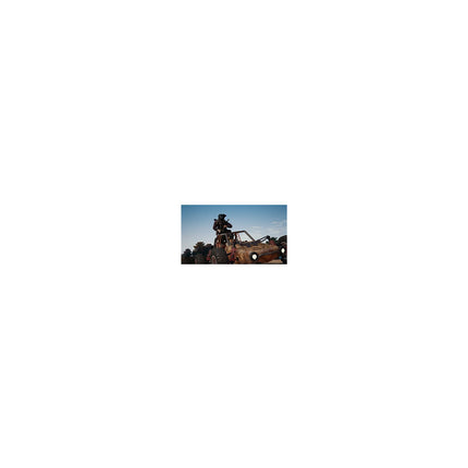 Jeu PS4 SONY PlayerUnknown's Battlegrounds Reconditionné