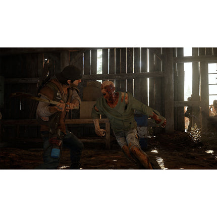 Jeu PS4 SONY Days Gone