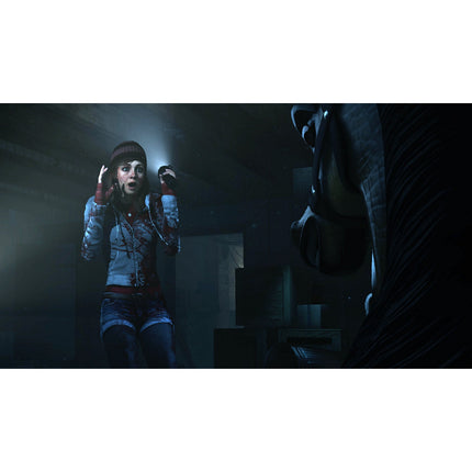Jeu PS4 SONY Until Dawn