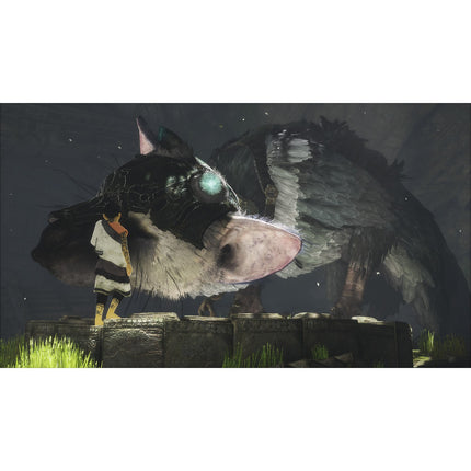 Jeu PS4 SONY The Last Guardian