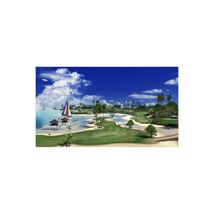 Jeu PS4 SONY Everybody's Golf