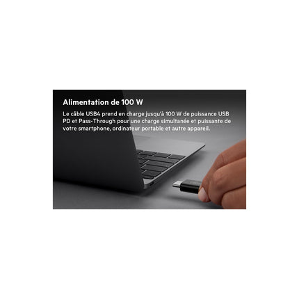 Adaptateur USB C BELKIN USB 4 C 0.80M