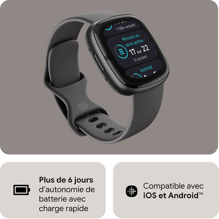 Montre santé FITBIT Sense 2 Aluminium Graphite et ombre