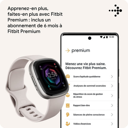 Montre santé FITBIT Sense 2 Aluminium Graphite et ombre