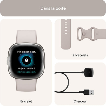 Montre santé FITBIT Sense 2 Aluminium Graphite et ombre