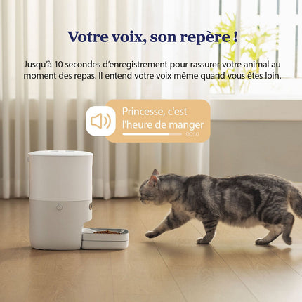 Distributeur de croquettes PAWSYNC Smart Pet Feeder PAWP0001EUN