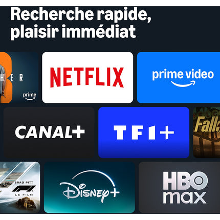 Passerelle multimédia AMAZON Fire TV stick HD (2026)