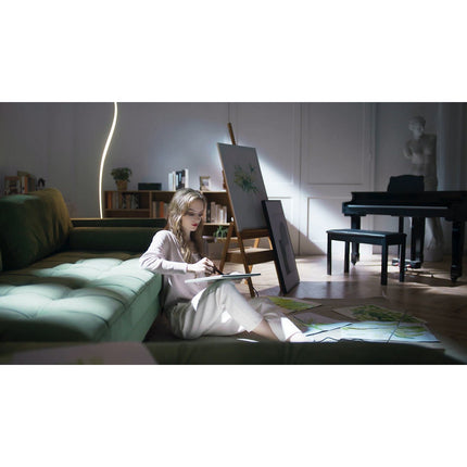 Tablette graphique XPPEN ARTIST 13 V2 2EME GENERATION NOIR